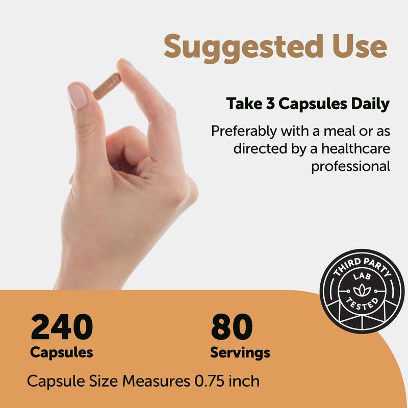 Nattokinase 10,000 FU (500mg) Complex - 240 Capsules