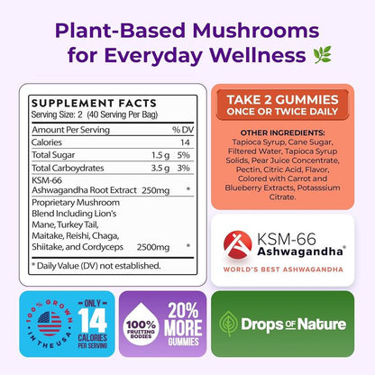 Ashwagandha Mushroom Gummies – 80 Servings