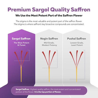 Saffron Mood & Stress Support - 30 Capsules
